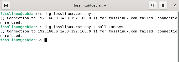 any dns lookup