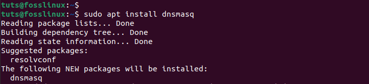 install dnsmas