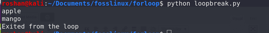 break statement in a python loop
